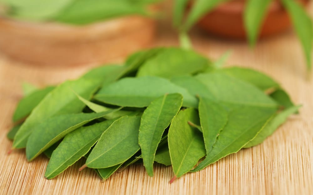 curry leaves for grey hair