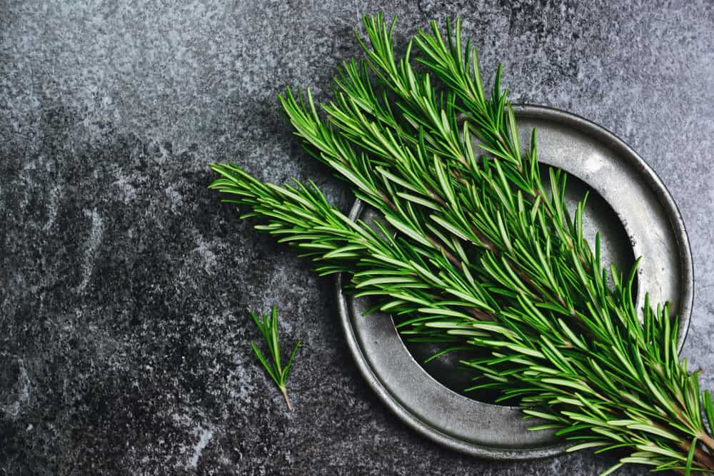 rosemary for grey hair