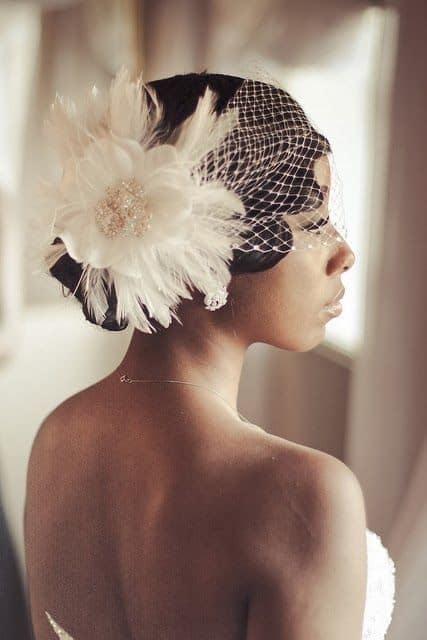 Birdcage veil